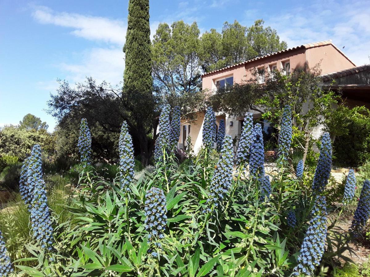 L'Atelier Bed & Breakfast Saint-Maximin  Екстериор снимка